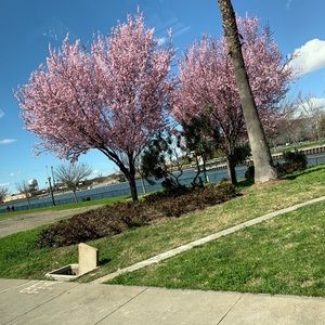 Meet your Posher, Juliana